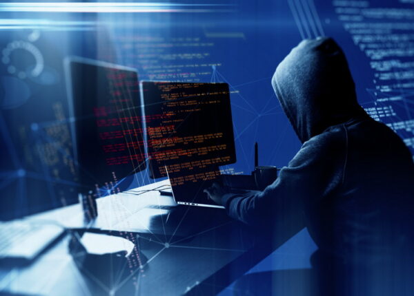 reato di estorsione informatica
